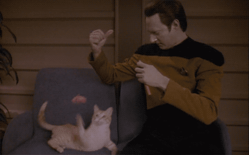 Data from Star Trek playing with a cat